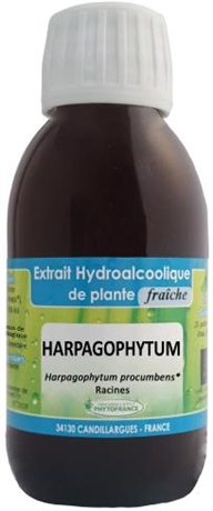 Harpagophytum-griffe du diable